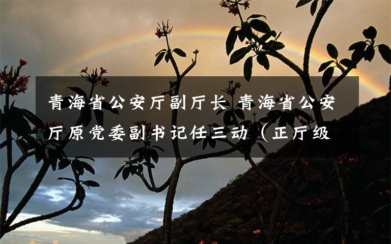 青海省公安厅副厅长 青海省公安厅原党委副书记任三动(正厅级)被提起公诉