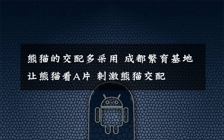 熊猫的交配多采用 成都繁育基地让熊猫看A片 刺激熊猫交配