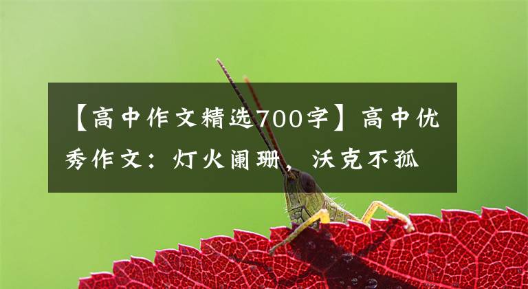 【高中作文精选700字】高中优秀作文：灯火阑珊，沃克不孤独。