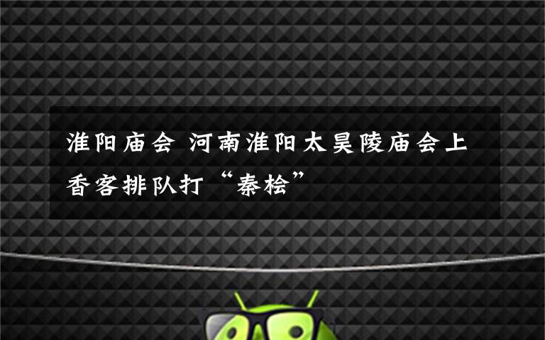 淮阳庙会 河南淮阳太昊陵庙会上香客排队打“秦桧”