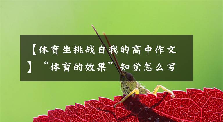 【体育生挑战自我的高中作文】“体育的效果”知觉怎么写？佛山名师评广东新高考作文题。