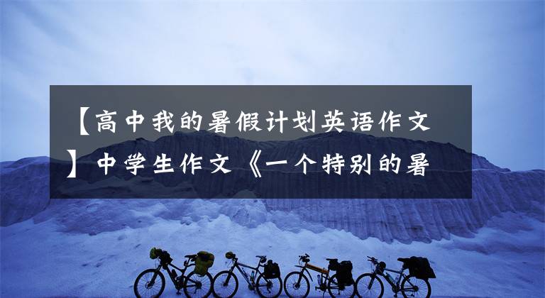【高中我的暑假计划英语作文】中学生作文《一个特别的暑假》