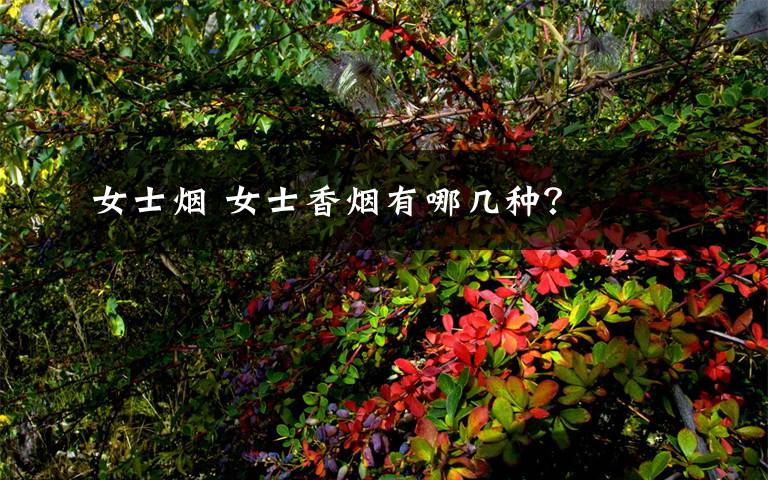 女士烟 女士香烟有哪几种?