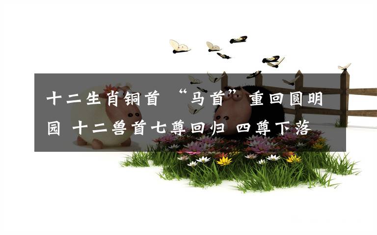 十二生肖铜首 “马首”重回圆明园 十二兽首七尊回归 四尊下落不明