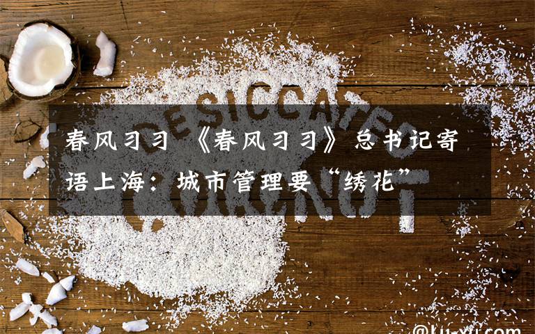 春风习习 《春风习习》总书记寄语上海:城市管理要“绣花”