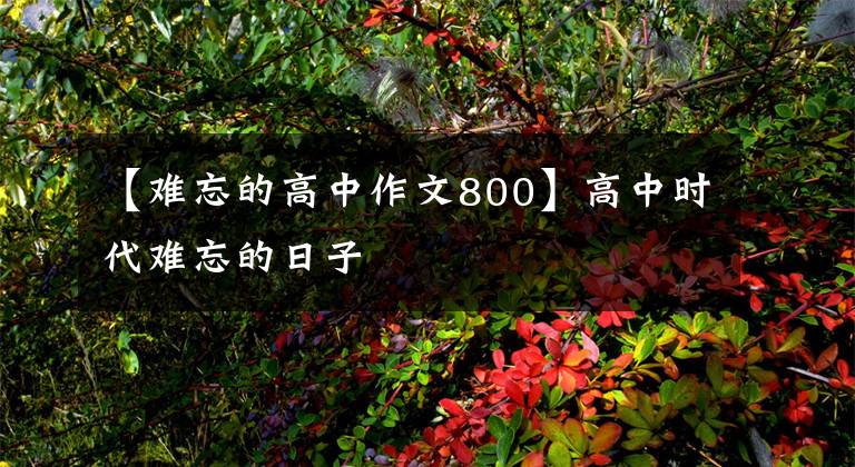 【难忘的高中作文800】高中时代难忘的日子