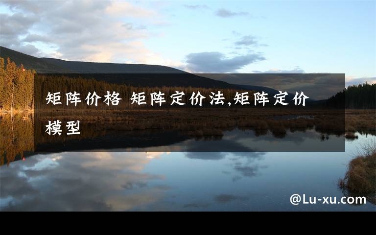 矩阵价格 矩阵定价法,矩阵定价模型