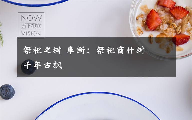 祭祀之树 阜新:祭祀商什树——千年古枫