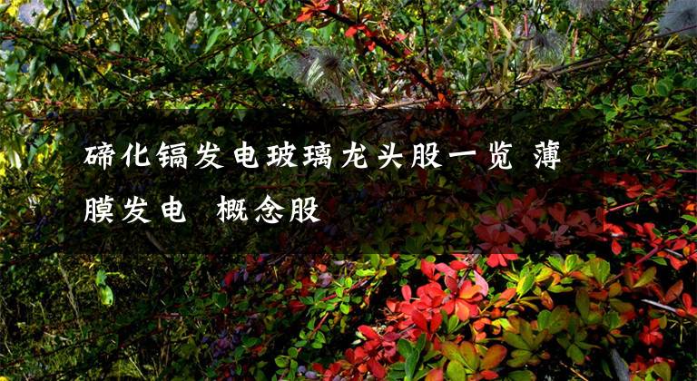 碲化镉发电玻璃龙头股一览 薄膜发电 概念股