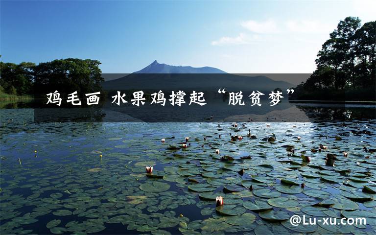 鸡毛画 水果鸡撑起“脱贫梦”