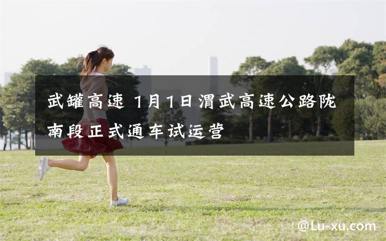 武罐高速 1月1日渭武高速公路陇南段正式通车试运营