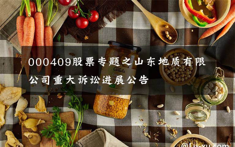 000409股票专题之山东地质有限公司重大诉讼进展公告