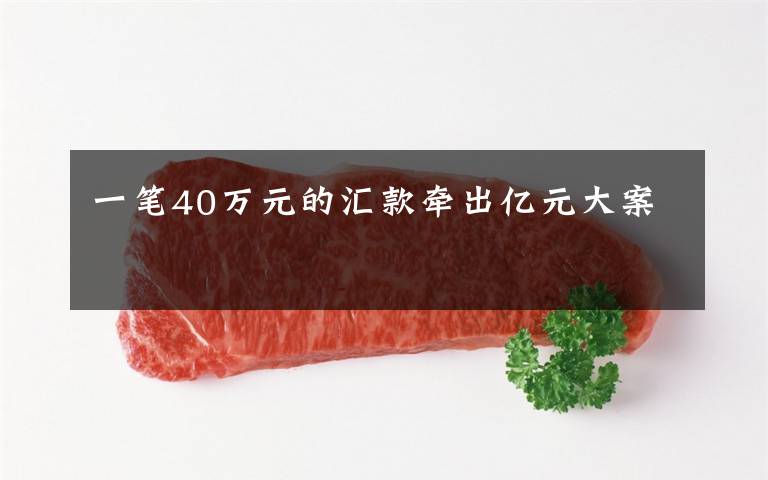 一笔40万元的汇款牵出亿元大案