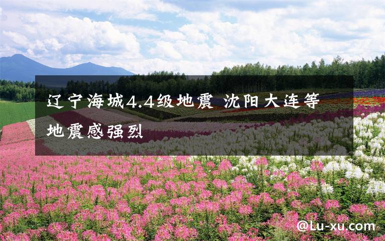 辽宁海城4.4级地震 沈阳大连等地震感强烈