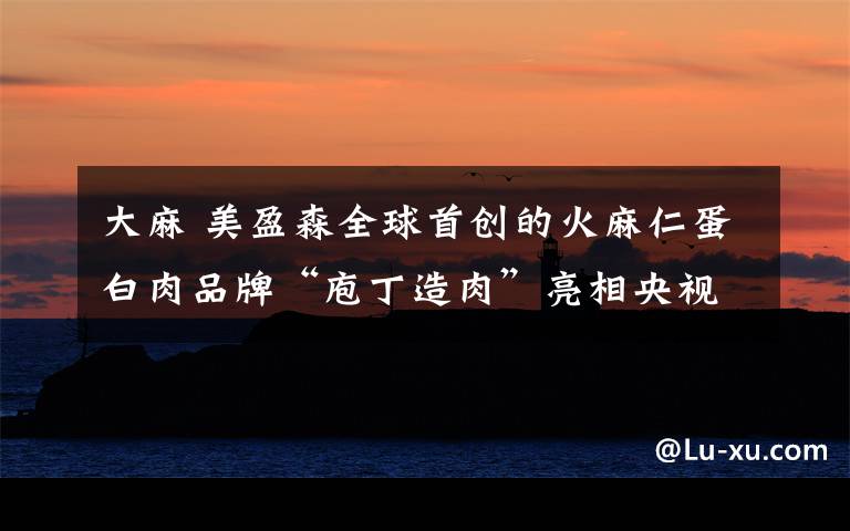 大麻 美盈森全球首创的火麻仁蛋白肉品牌“庖丁造肉”亮相央视