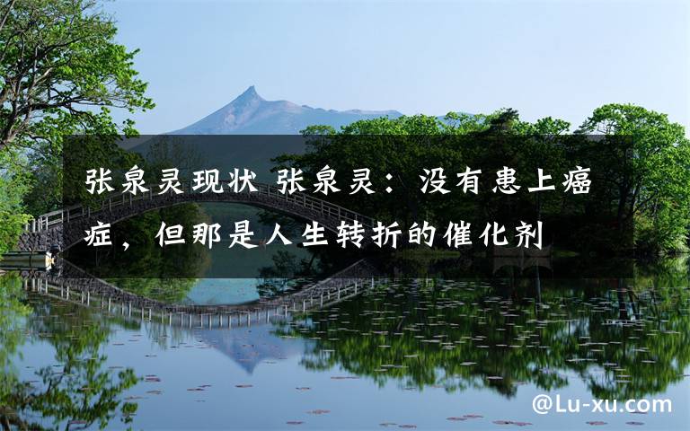 张泉灵现状 张泉灵:没有患上癌症,但那是人生转折的催化剂