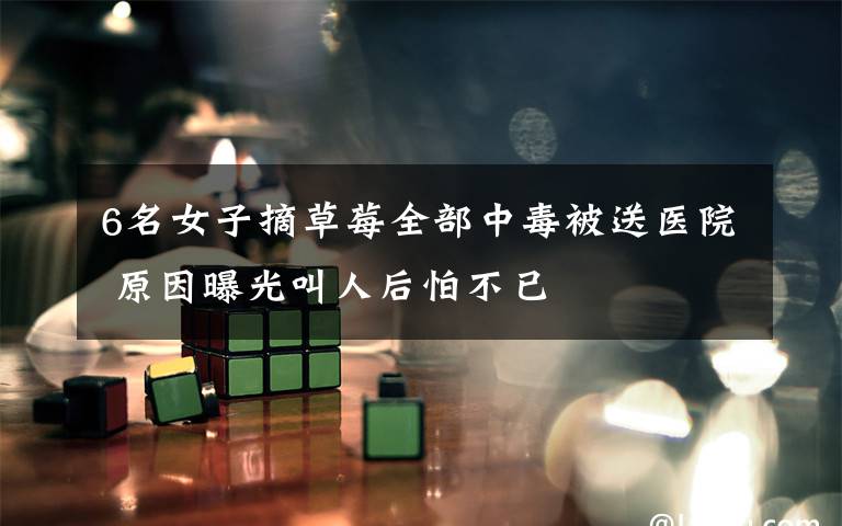 6名女子摘草莓全部中毒被送医院 原因曝光叫人后怕不已