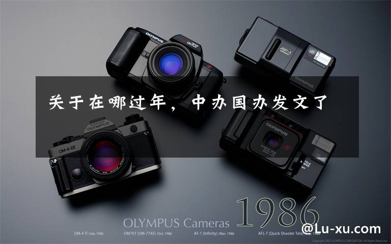 关于在哪过年,中办国办发文了