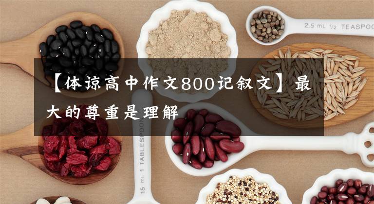 【体谅高中作文800记叙文】最大的尊重是理解