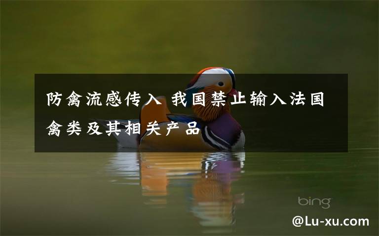防禽流感传入 我国禁止输入法国禽类及其相关产品