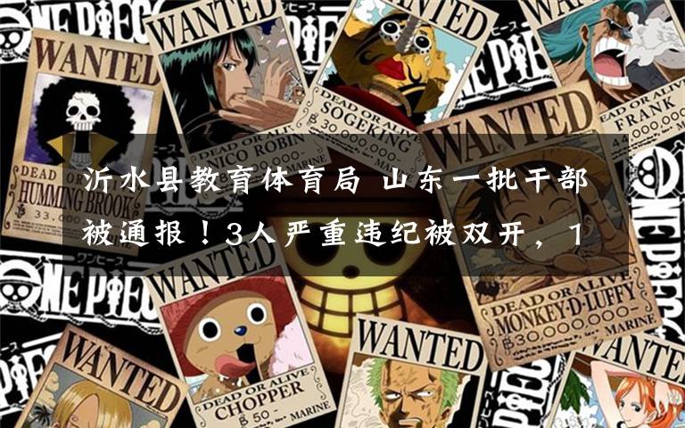 沂水县教育体育局 山东一批干部被通报!3人严重违纪被双开,1人接受审查调查
