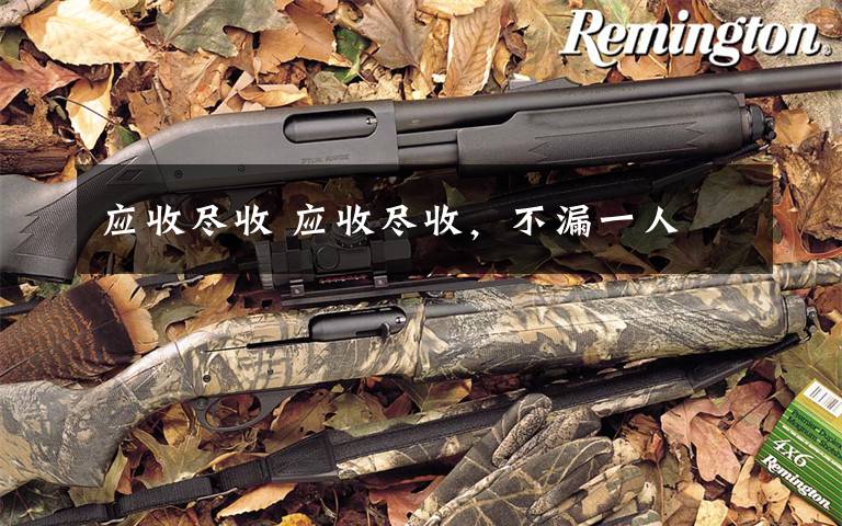 应收尽收 应收尽收，不漏一人