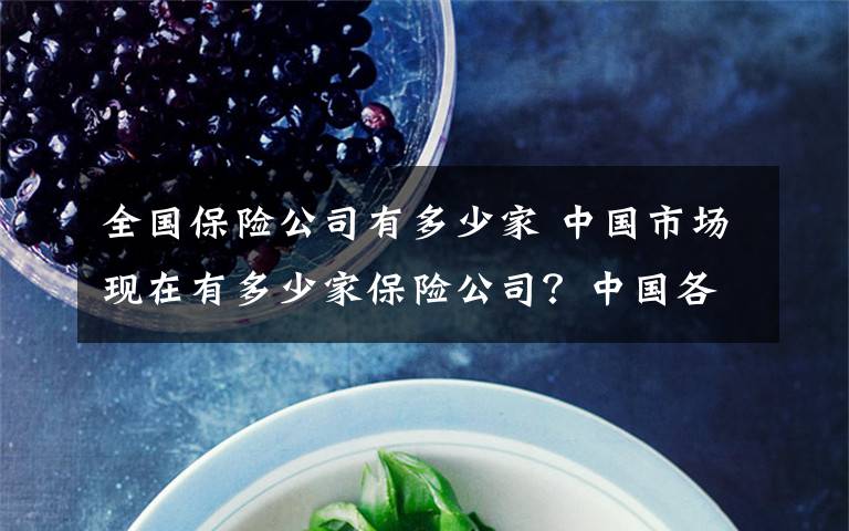 全国保险公司有多少家 中国市场现在有多少家保险公司?中国各个保险公司的市场份额