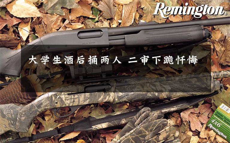 大学生酒后捅两人 二审下跪忏悔