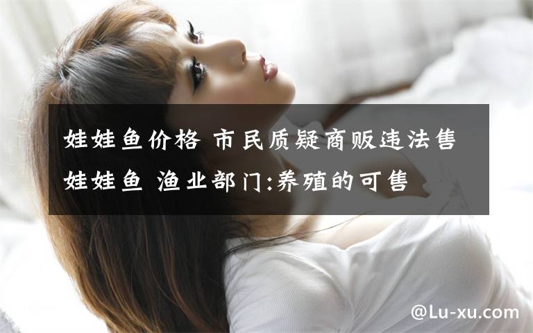 娃娃鱼价格 市民质疑商贩违法售娃娃鱼 渔业部门:养殖的可售