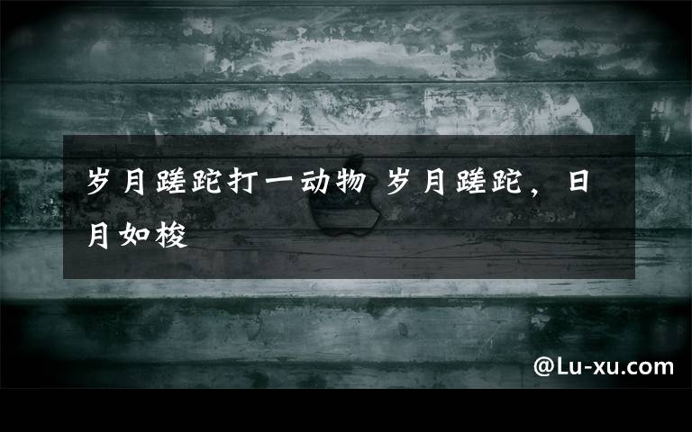 岁月蹉跎打一动物 岁月蹉跎，日月如梭