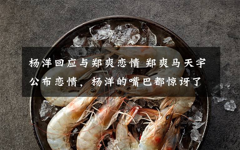 杨洋回应与郑爽恋情 郑爽马天宇公布恋情,杨洋的嘴巴都惊讶了!