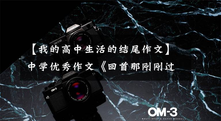 【我的高中生活的结尾作文】中学优秀作文《回首那刚刚过去的时光》