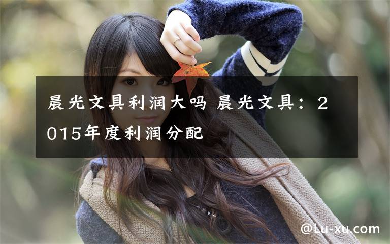 晨光文具利润大吗 晨光文具:2015年度利润分配