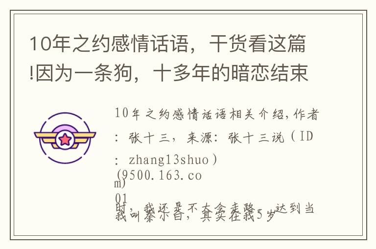 10年之约感情话语,干货看这篇!因为一条狗,十多年的暗恋结束了