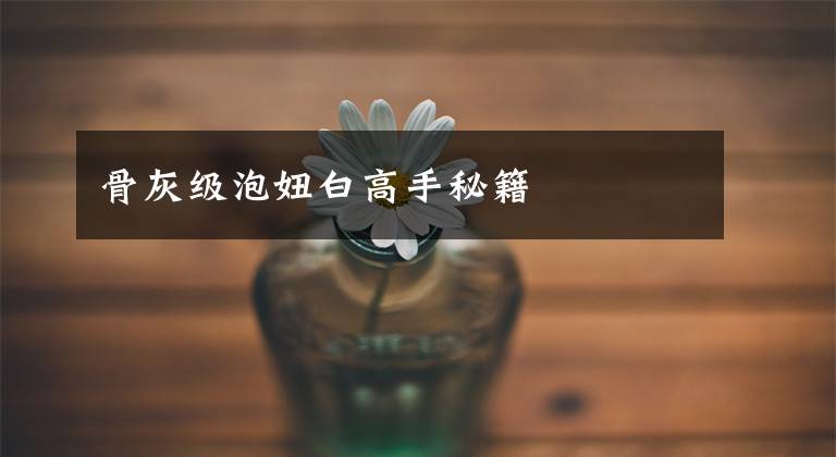 骨灰级泡妞白高手秘籍