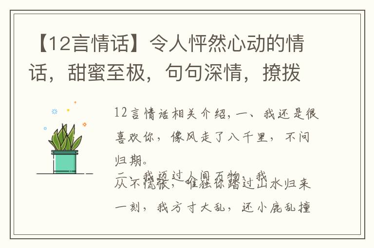 【12言情话】令人怦然心动的情话,甜蜜至极,句句深情,撩拨心弦