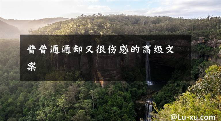 普普通通却又很伤感的高级文案