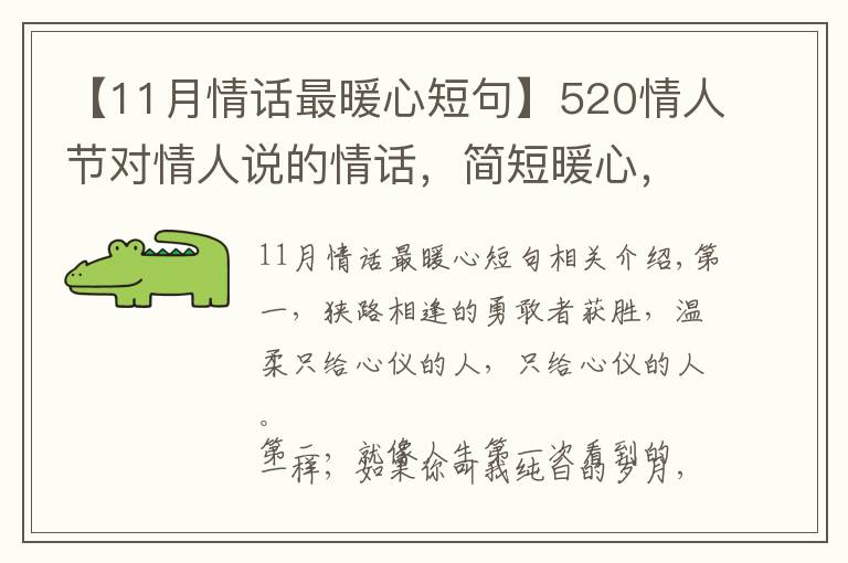 【11月情话最暖心短句】520情人节对情人说的情话,简短暖心,深情撩人!