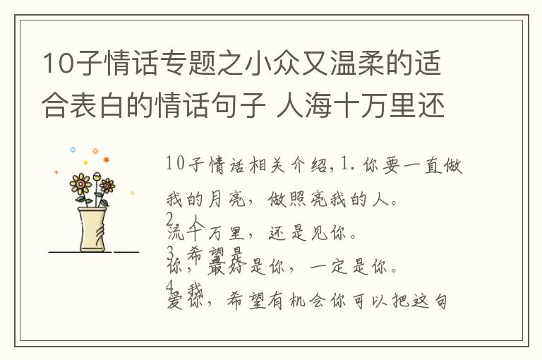 10子情话专题之小众又温柔的适合表白的情话句子 人海十万里还是遇见你