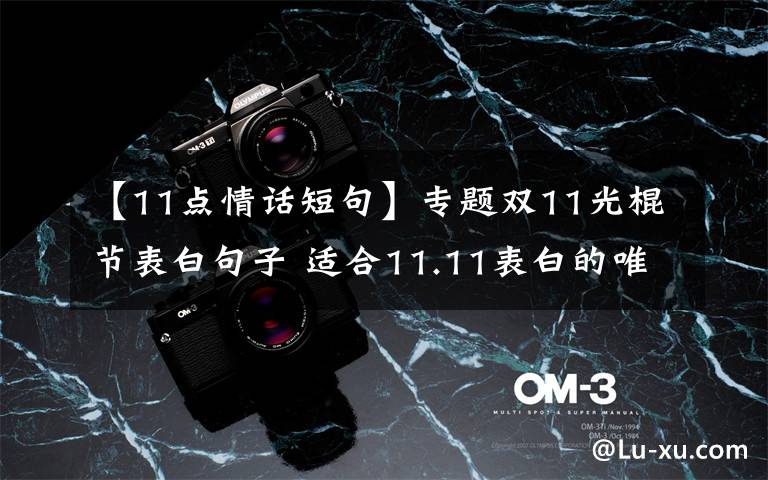 【11点情话短句】专题双11光棍节表白句子 适合11.11表白的唯美情话