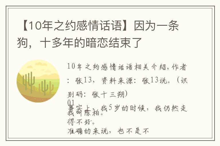 【10年之约感情话语】因为一条狗,十多年的暗恋结束了