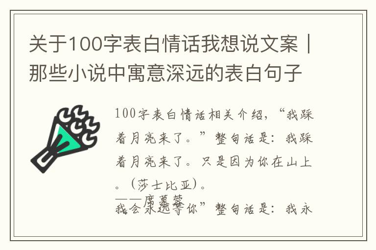 关于100字表白情话我想说文案|那些小说中寓意深远的表白句子