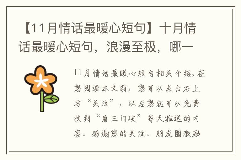 【11月情话最暖心短句】十月情话最暖心短句,浪漫至极,哪一句最撩心?