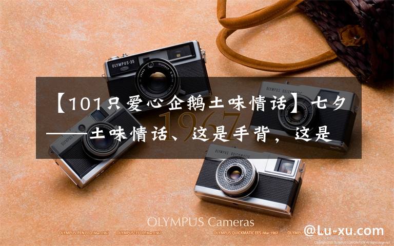 【101只爱心企鹅土味情话】七夕——土味情话、这是手背,这是脚背,你是我的宝贝