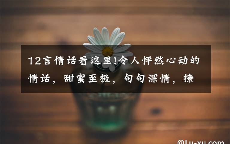 12言情话看这里!令人怦然心动的情话，甜蜜至极，句句深情，撩拨心弦