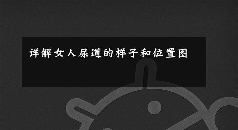 详解女人尿道的样子和位置图