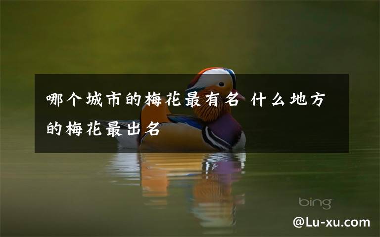 哪个城市的梅花最有名 什么地方的梅花最出名