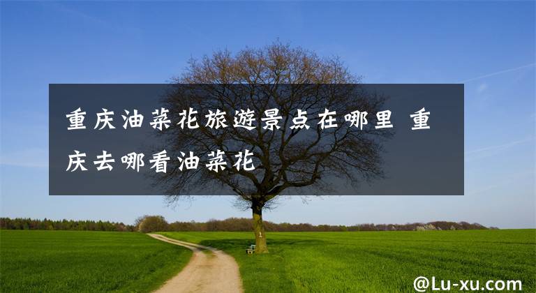 重庆油菜花旅游景点在哪里 重庆去哪看油菜花