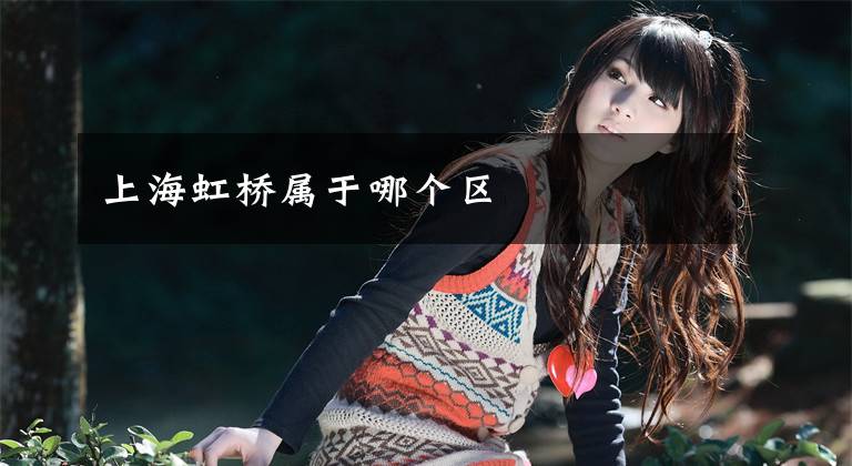 上海虹桥属于哪个区