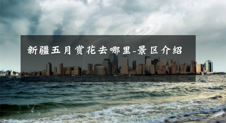 新疆五月赏花去哪里-景区介绍